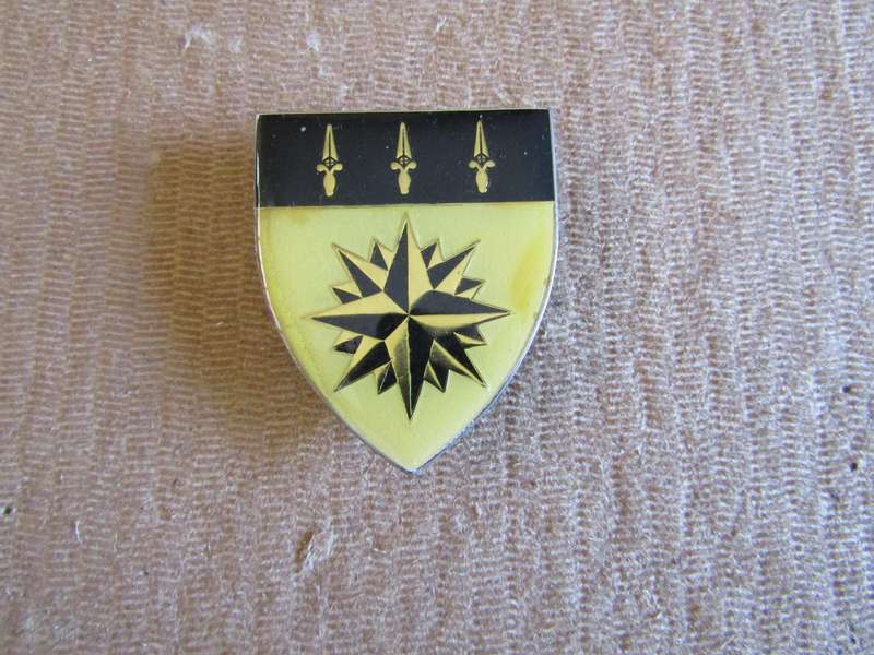 1 Reconnaissance Regiment. Pins intact