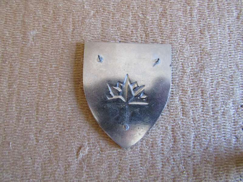 1 Reconnaissance Regiment. Pins intact