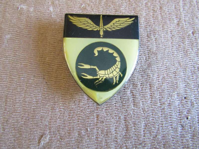 2 Reconnaissance Commando. Pins intact