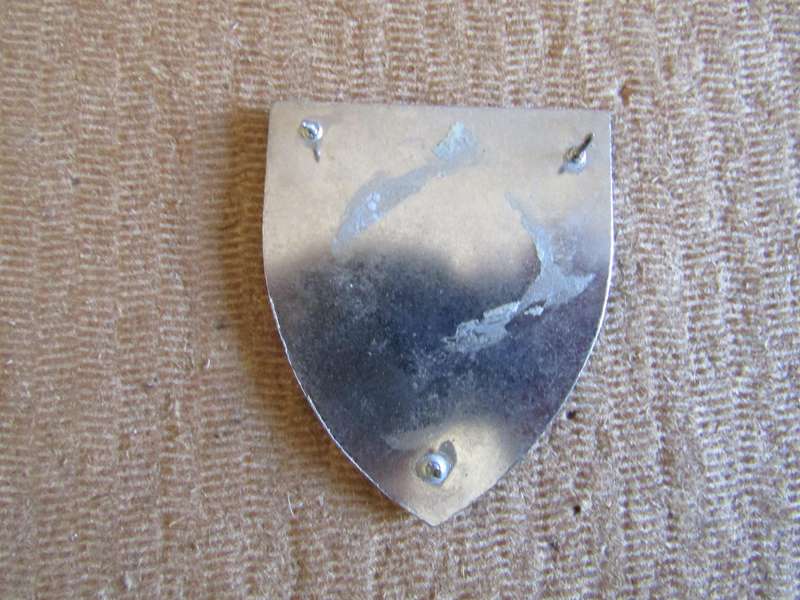 4 Reconnaissance Regiment. Pins intact