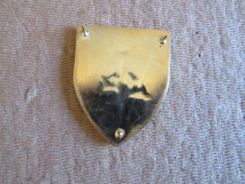 5 Reconnaissance Regiment. Pins intact