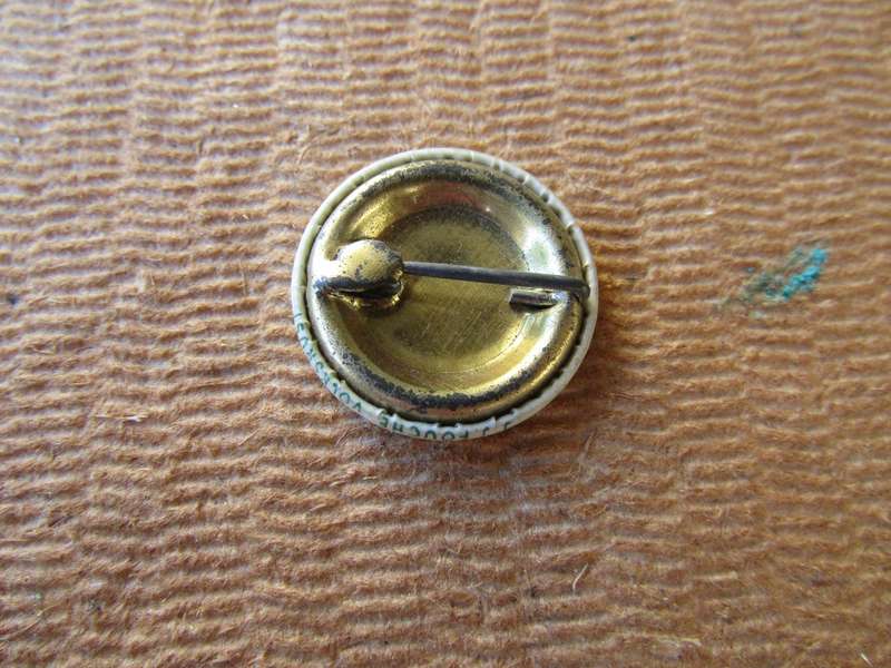 Transvaal 4 Kleur Pin 2.3cm (5 Available) Bid per pin