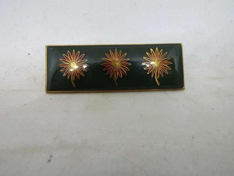 SADF Northen Transvaal Command Bar title.  Pin intact. 2 Available