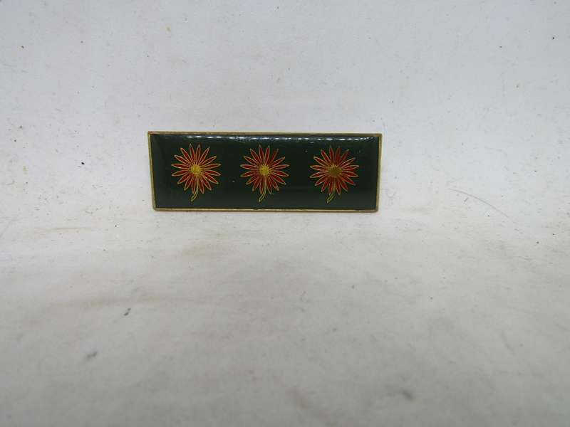 SADF Northen Transvaal Command Bar title.  Pin intact. 2 Available