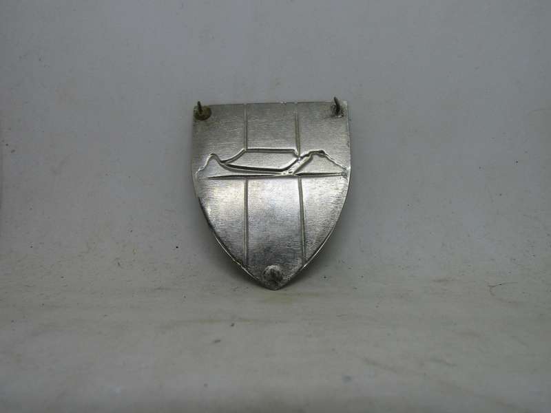 SADF Western Province Command Signals Shoulder Flashes. Pins intact.