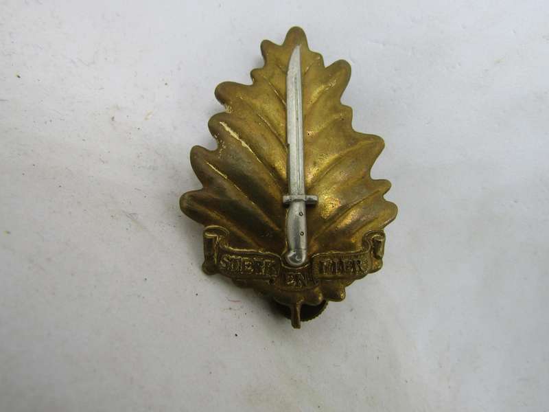 Regiment University of Stellenbosch  Cap Badge . Pins Intact