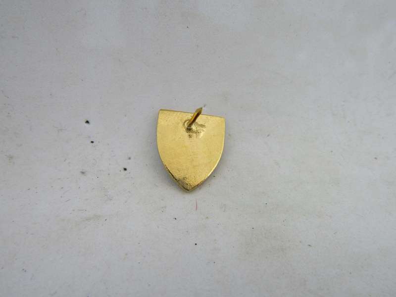 SADF 72 Motorize Brigade Fob Flash . Pins Intact 2cm