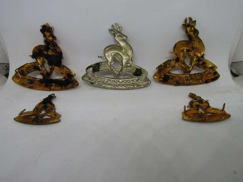 School Cadets Corps Cap Badges 2 Gold big ones no Pins