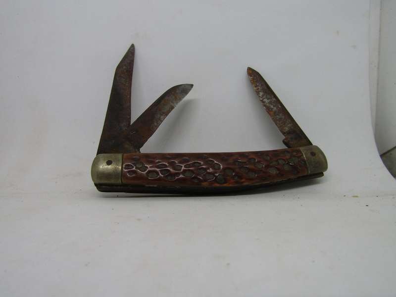 Bone Handle Sheffield Pocket Knive 5.5cm