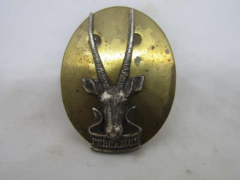 SADF South West African Corps Beret Badges Pins Intact.