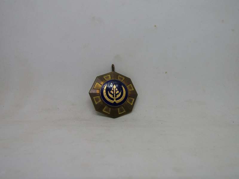 SADF Pro Patria Full size Medal  No Ribbon