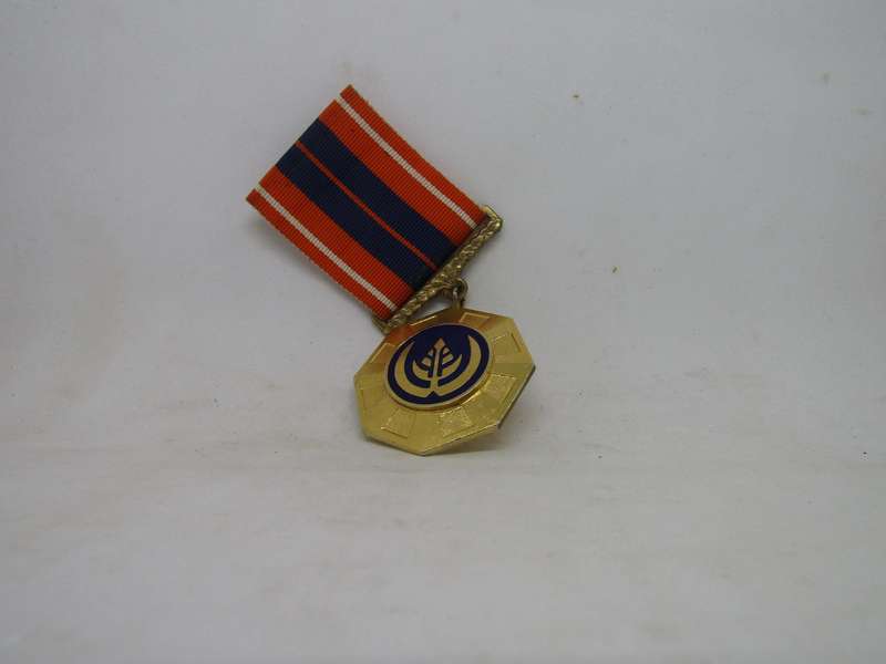 SADF Pro Patria Full size Medal  Swivel Type