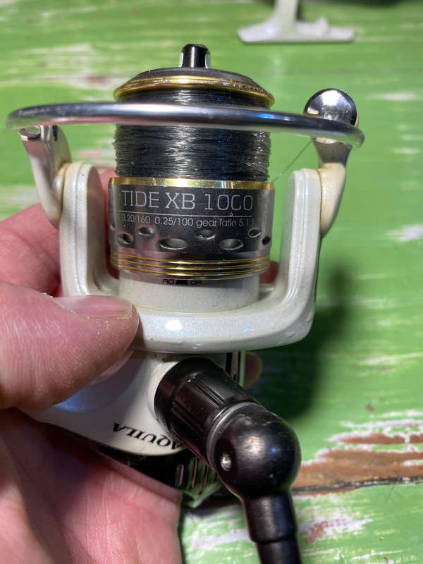 Fishing Reels x2 beachcaster legend bcl-80 and aquila tide xb 1000