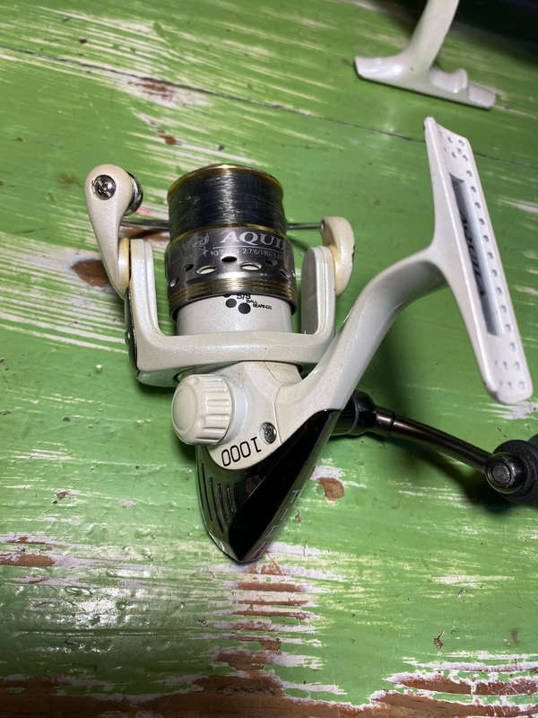 Fishing Reels x2 beachcaster legend bcl-80 and aquila tide xb 1000