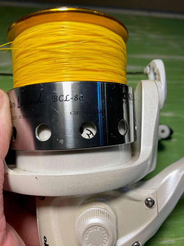 Fishing Reels x2 beachcaster legend bcl-80 and aquila tide xb 1000