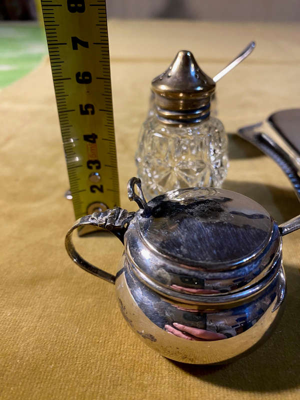 Antique Silver Plated Condiment Set