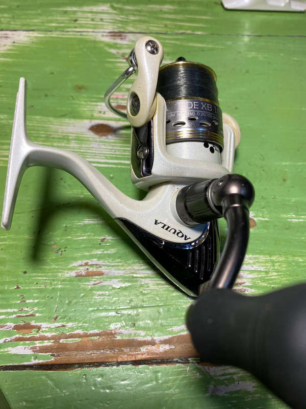 Fishing Reels x2 beachcaster legend bcl-80 and aquila tide xb 1000