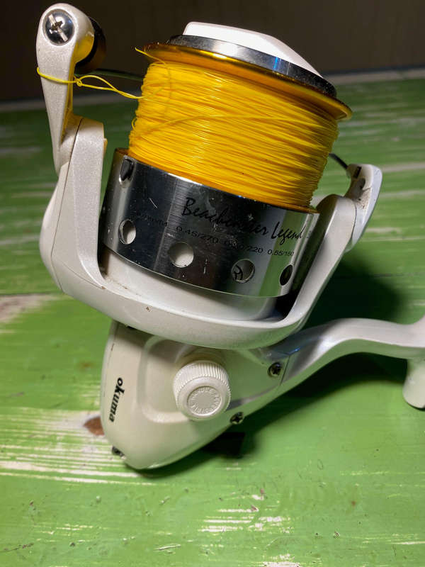 Fishing Reels x2 beachcaster legend bcl-80 and aquila tide xb 1000
