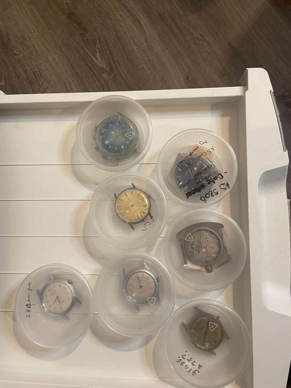 Project watches and parts
