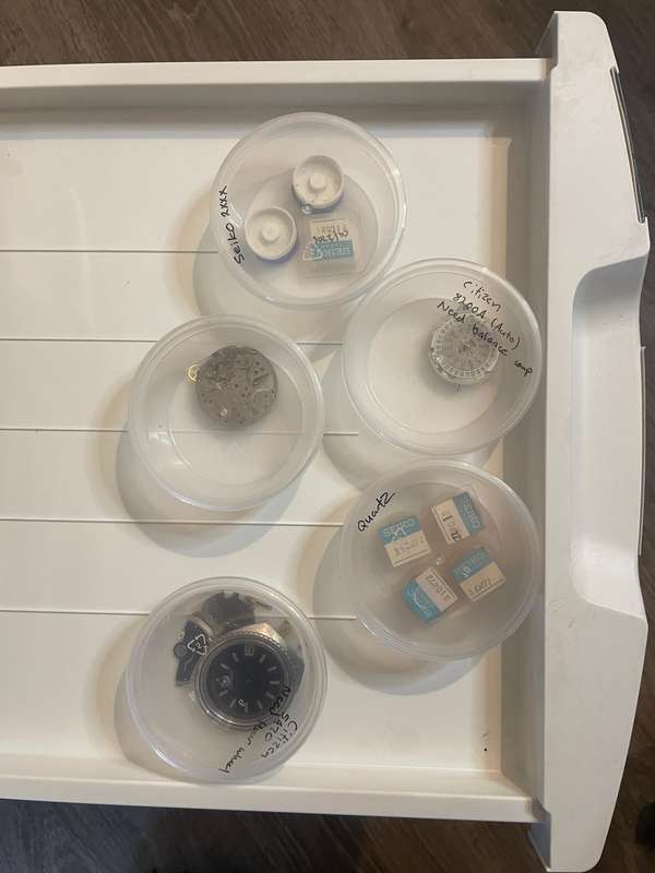 Project watches and parts