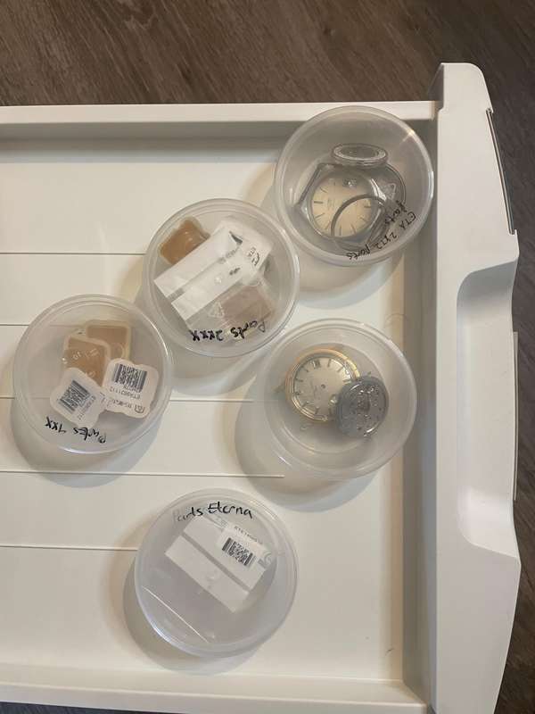 Project watches and parts