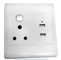 GOODACE / DOUBLE USB WALL SOCKET (4X4)