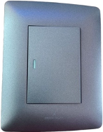 GOODACE / 1 LEVER WALL SWITCH BLACK (2X4)