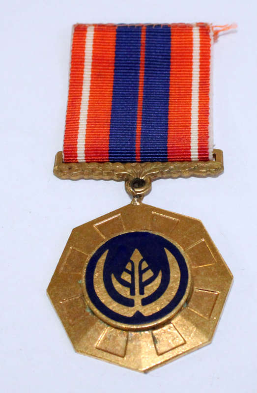 SADF Pro Patria medal (swivel type)