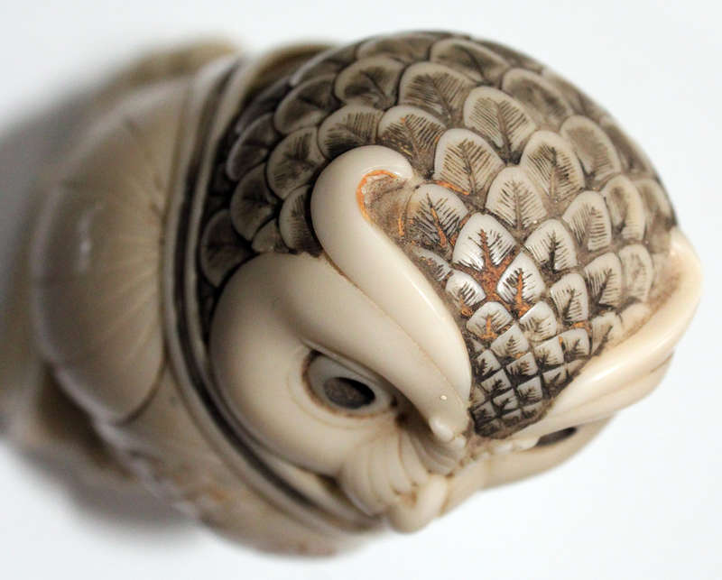 John Biccard Owl
