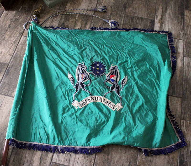 Regiment Natalia Regimental Colours