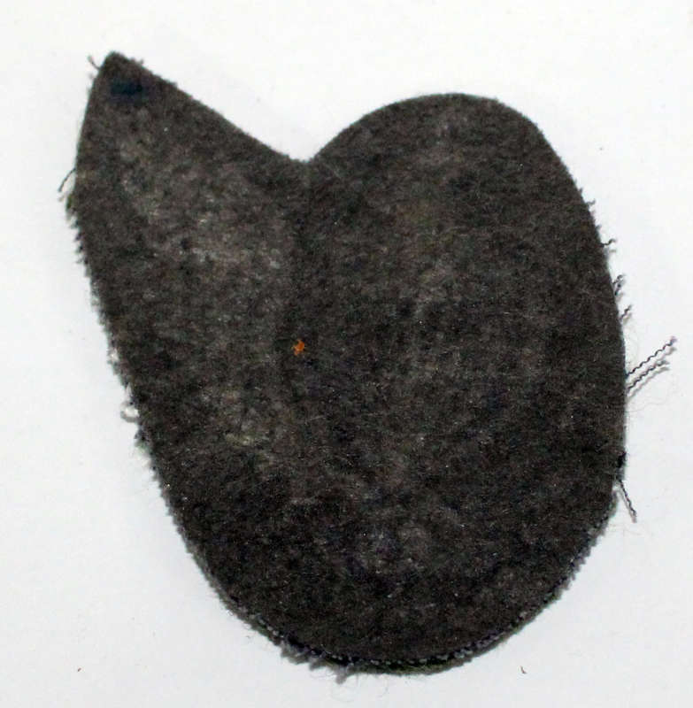 Ciskei parachute wing
