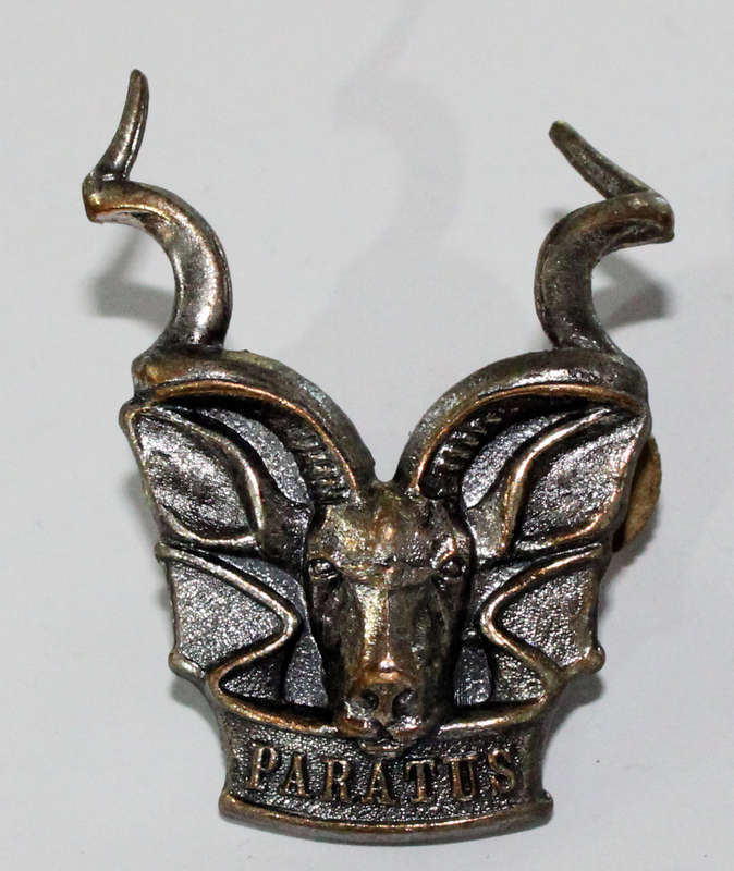 SWATF Area Force Cap badge