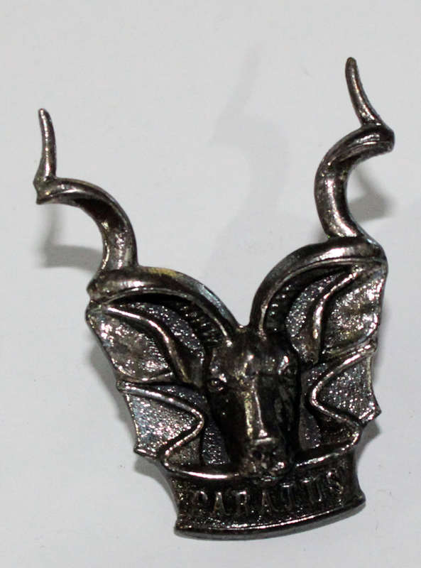 SWATF Area Force Cap badge