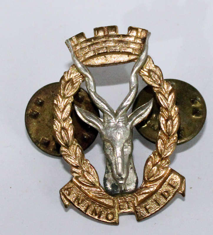 Regiment Windhoek single collar