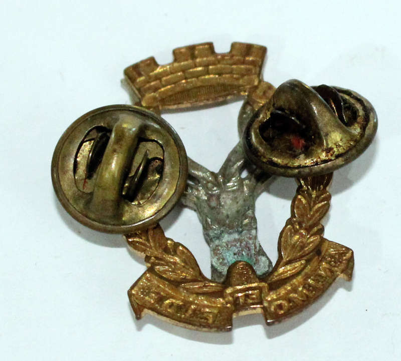 Regiment Windhoek single collar