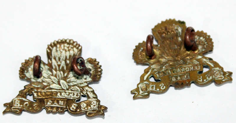 Pair of Special Service Battalion collars