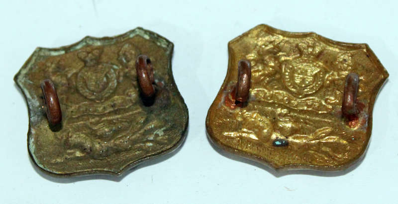 Pair of Royal Durban Light Infantry collars