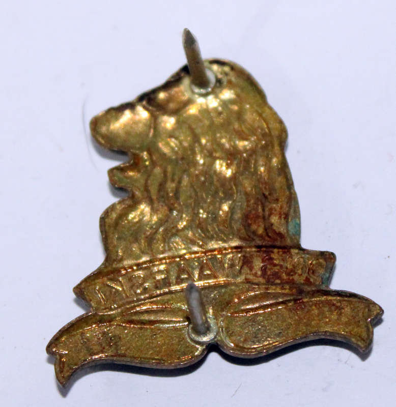 Regiment De La Rey Single Collar