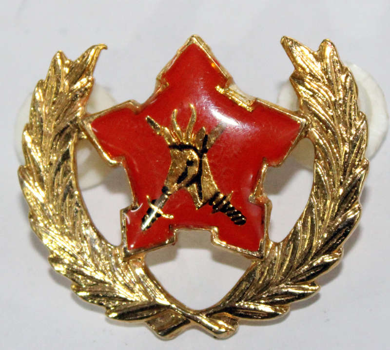 SADF 5 Years Voluntary Service badge