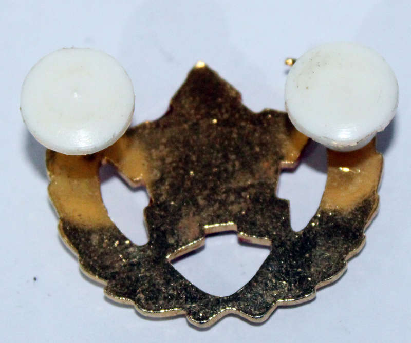 SADF 5 Years Voluntary Service badge