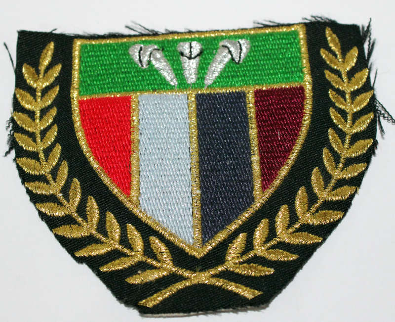 SADF Southern Cape Command sports badge