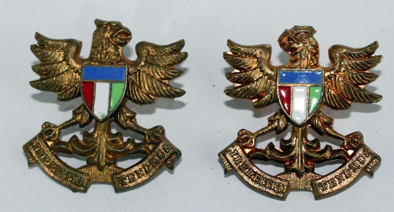 Regiment Noord Natal collars pair