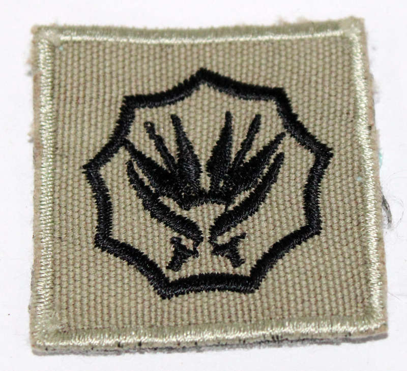 SANDF 5 year service badge