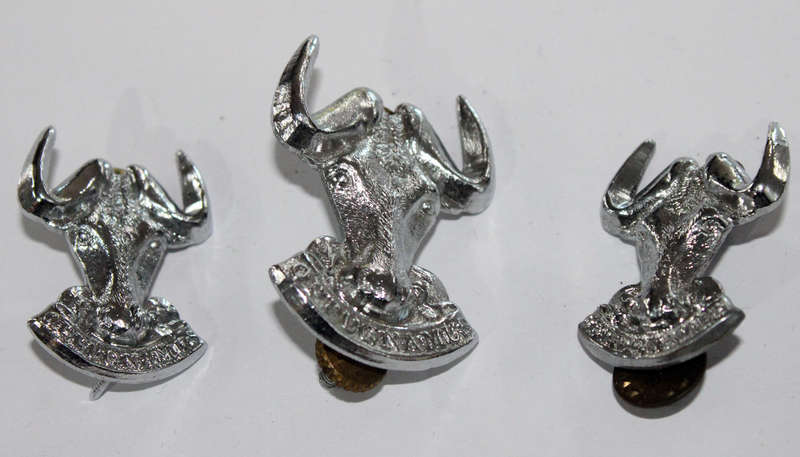 Regiment Port Natal badge lot