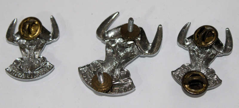 Regiment Port Natal badge lot