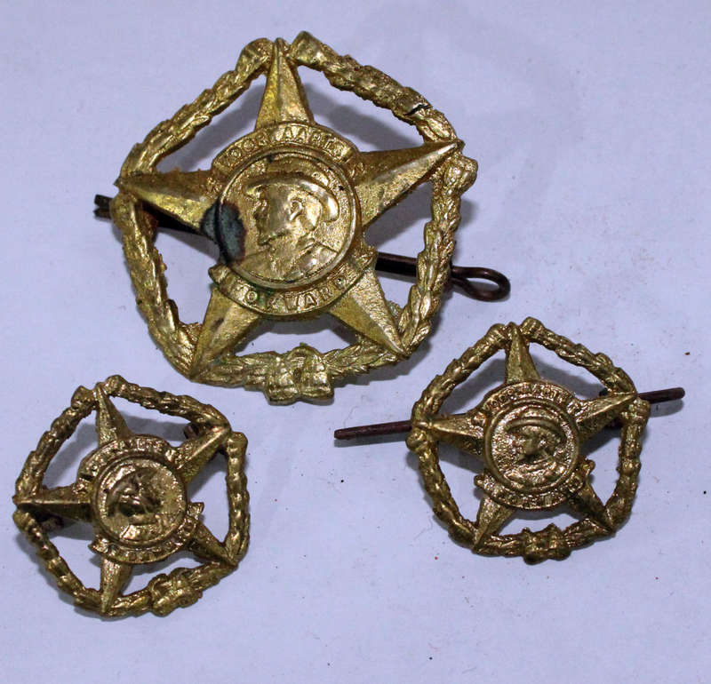 Regiment Botha badge set