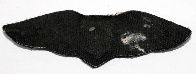 Civilian Pilot wings