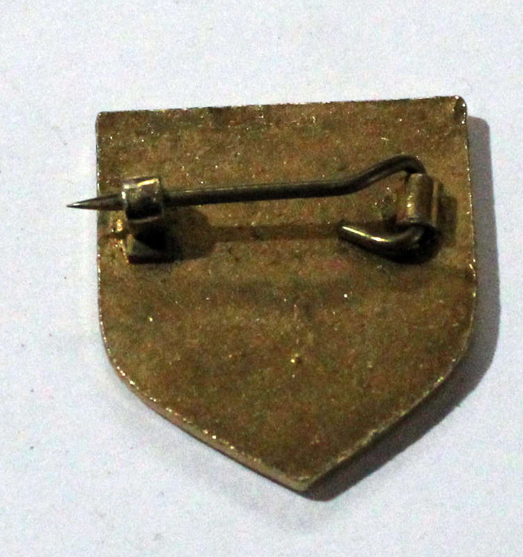 8th Army Veterans badge