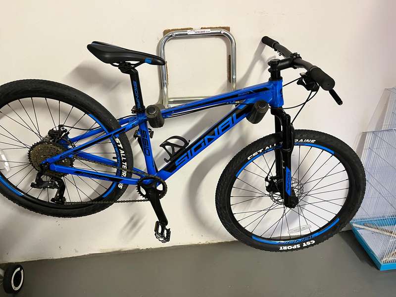 Bicycle hook