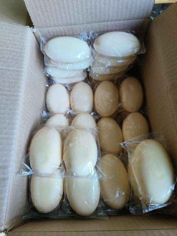 Ozone Soap with essential oil of lemongrass.